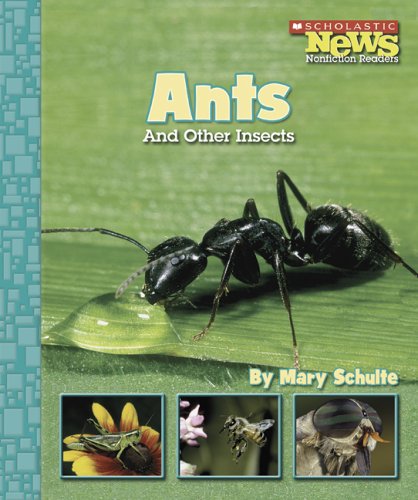 Beispielbild fr Ants and Other Insects zum Verkauf von Better World Books