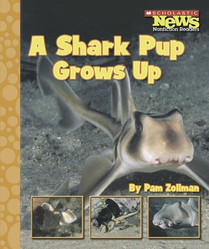 Stock image for A Shark Pup Grows Up for sale by Better World Books