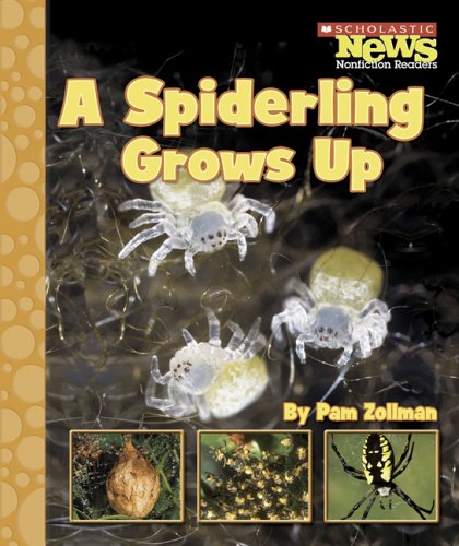 Stock image for A Spiderling Grows Up (Scholastic News Nonfiction Readers) for sale by Irish Booksellers