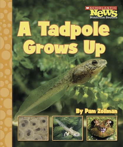 Imagen de archivo de A Tadpole Grows Up a la venta por Better World Books