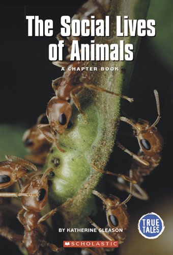 Stock image for The Social Lives Of Animals: A Chapter Book (True Tales) for sale by WeSavings LLC