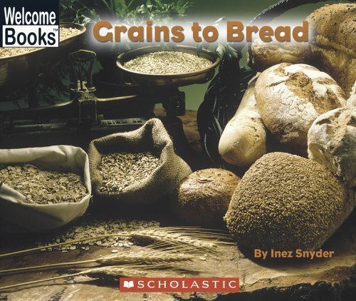 Imagen de archivo de Grains To Bread (Welcome Books: How Things Are Made) a la venta por More Than Words