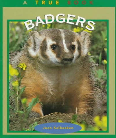 9780516260938: Badgers (True Book)