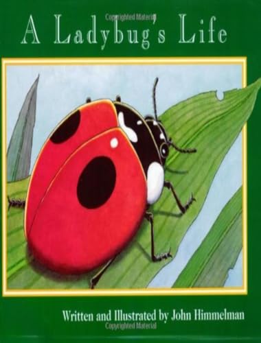 Imagen de archivo de A Ladybug's Life (Nature Upclose) a la venta por Your Online Bookstore