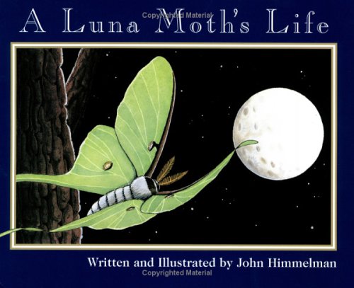 9780516263540: A Luna Moth's Life (Nature Upclose)