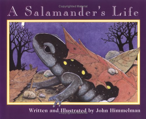 Stock image for A Salamander's Life (Nature Upclose) for sale by SecondSale