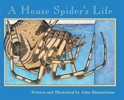 Beispielbild fr A House Spider's Life (Nature Upclose) zum Verkauf von Wonder Book