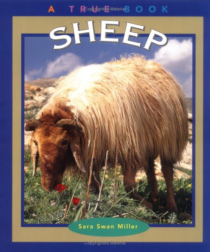 Imagen de archivo de Sheep a la venta por Better World Books