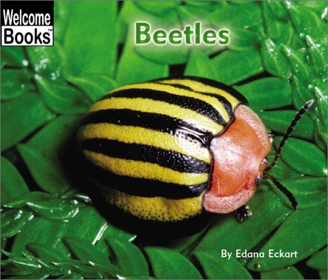 Beispielbild fr Beetles (Welcome Books) zum Verkauf von Wonder Book