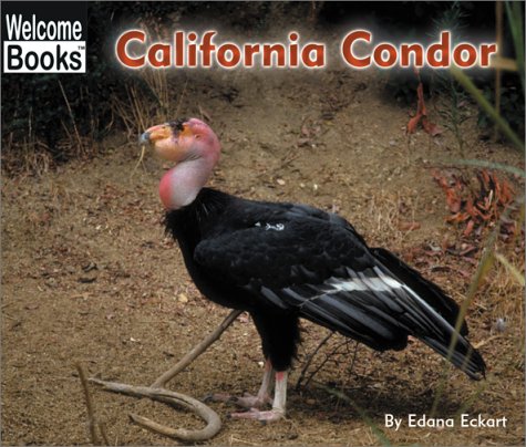 Beispielbild fr California Condor zum Verkauf von ThriftBooks-Atlanta