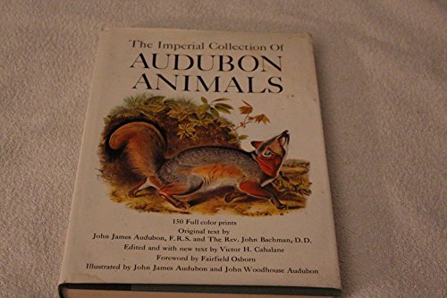 Beispielbild fr The Imperial Collection of Audubon Animals zum Verkauf von Novel Ideas Books & Gifts