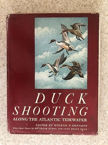 Beispielbild fr Duck Shooting Along the Atlantic Tidewater zum Verkauf von ThriftBooks-Dallas