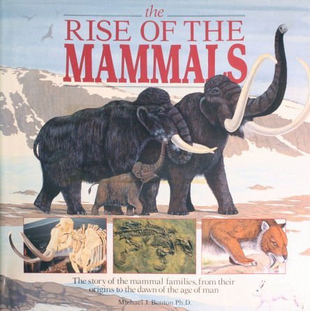 Beispielbild fr Rise of the Mammals zum Verkauf von WorldofBooks