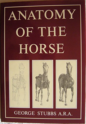 Stock image for Anatomy of the Horse, Forword By Lord Portland for sale by Reader's Corner, Inc.