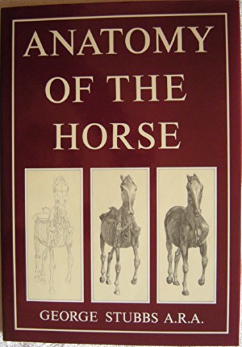 9780517033029: Anatomy of the Horse