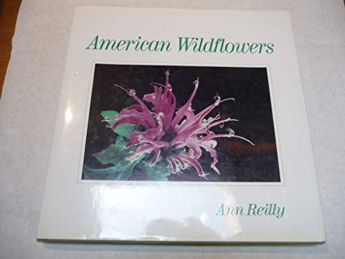 Beispielbild fr American Wildflowers : Beauty in the Fields zum Verkauf von Better World Books