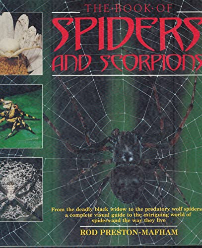 Stock image for The Book of Spiders and Scorpions: From the deadly black widow to the predatory wolf spiders///a complete visual guide to the intriguing world of spiders and the way they live for sale by Abstract Books