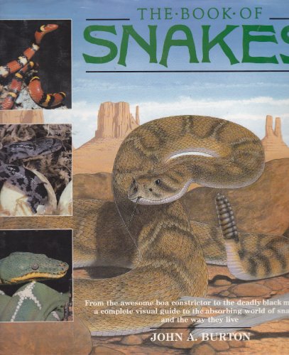 Stock image for Book of Snakes for sale by Wonder Book