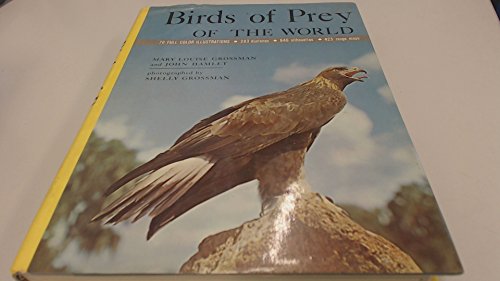 Stock image for Birds Of Prey Of The World for sale by ThriftBooks-Atlanta