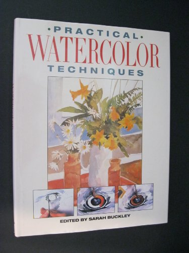Beispielbild fr Practical Watercolor Techniques zum Verkauf von Better World Books