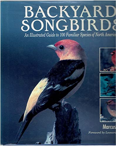 Stock image for Backyard Songbirds: An Illustrated Guide to 100 Familiar Species of North America for sale by ThriftBooks-Dallas