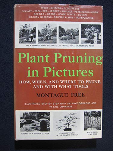 Beispielbild fr Plant Pruning in Pictures zum Verkauf von Half Price Books Inc.