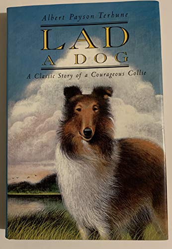 Imagen de archivo de Lad: A Dog a la venta por Half Price Books Inc.