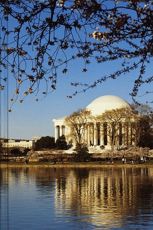 Stock image for Anything Book, Washington, D.C.: Jefferson Memorial (Anything Book D.C. Series) for sale by Wonder Book