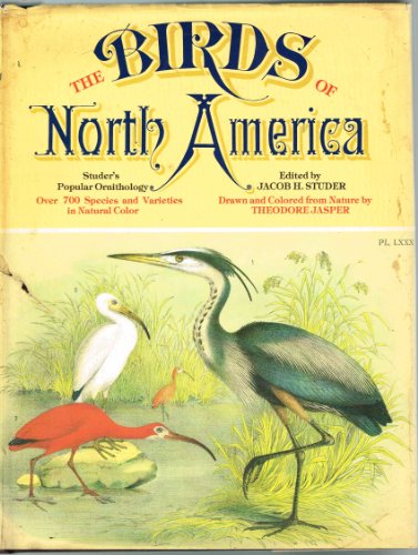 Beispielbild fr Struder's Popular Ornithology : The Birds of North America zum Verkauf von Better World Books