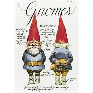 9780517270738: Gnomes