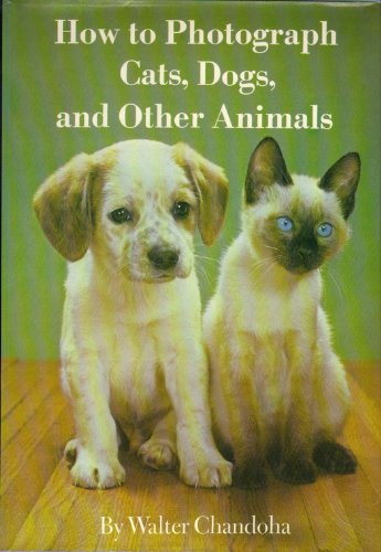 Imagen de archivo de How to Photograph Cats, Dogs, and Other Animals a la venta por Wonder Book