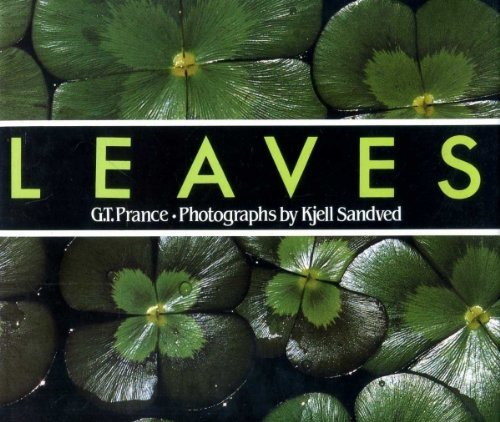 Beispielbild fr Leaves : The Formation, Characteristics, and Uses of Hundreds of Leaves Found in All Parts of the World zum Verkauf von Better World Books