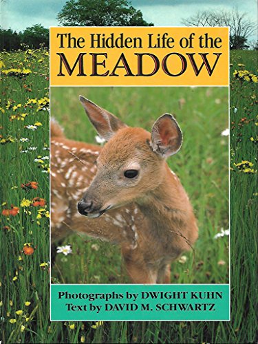 Beispielbild fr Hidden Life of the Meadow zum Verkauf von Wonder Book