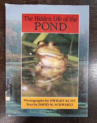 Beispielbild fr The Hidden Life of the Pond zum Verkauf von Better World Books