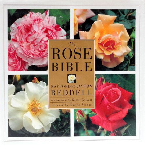 Stock image for The Rose Bible for sale by Hawking Books