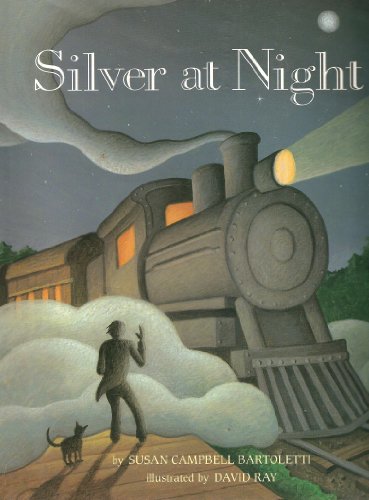 Beispielbild fr Silver at Night zum Verkauf von Bookshelfillers