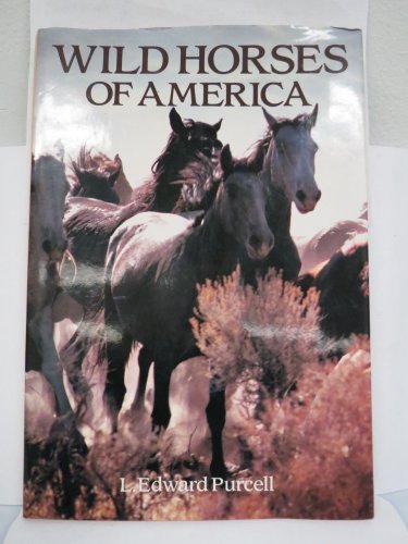 Imagen de archivo de Wild Horses Of America a la venta por Half Price Books Inc.