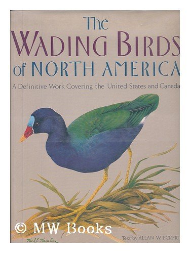 Imagen de archivo de Wading Birds of North America a la venta por Better World Books: West