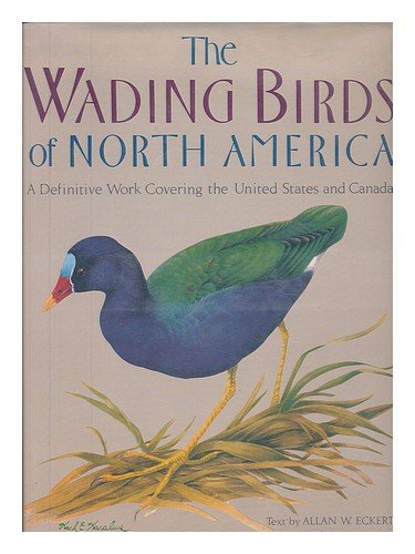 Stock image for Wading Birds of North America for sale by Better World Books: West