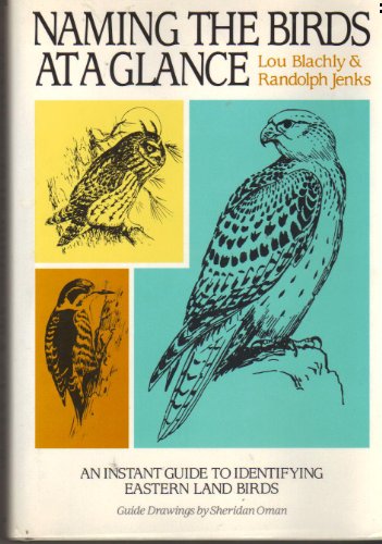 Stock image for Naming the Birds at a Glance for sale by Half Price Books Inc.