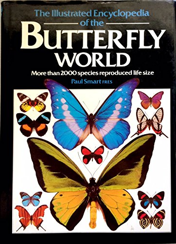 Stock image for Illustrated Encyclopedia of the Butterfly Wo for sale by ThriftBooks-Atlanta