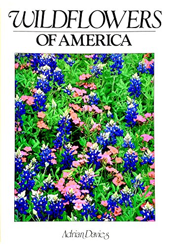 Beispielbild fr Wildflowers of America zum Verkauf von Better World Books