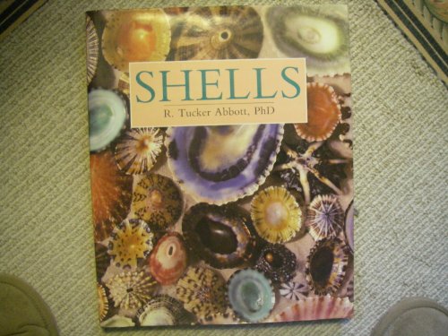 Beispielbild fr Shells zum Verkauf von Wonder Book