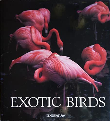 Beispielbild fr Exotic Birds zum Verkauf von Martin Preu / Akademische Buchhandlung Woetzel