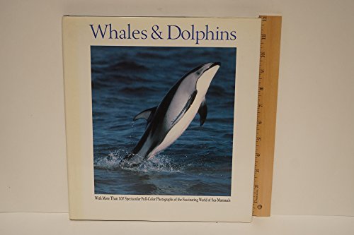 Stock image for Whales and Dolphins for sale by Better World Books