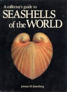 9780517690963: A Collector's Guide to Seashells of the World