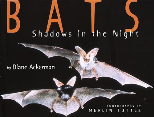 Stock image for Bats - Shadows In The Night for sale by Jenson Books Inc