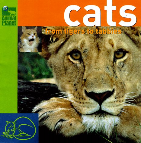 Imagen de archivo de Cats: From Tigers to Tabbys (Animal Planet) a la venta por Firefly Bookstore