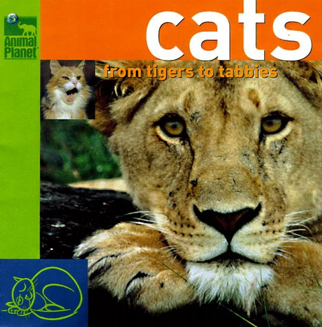 Stock image for Cats : From Tigers to Tabbys for sale by Better World Books