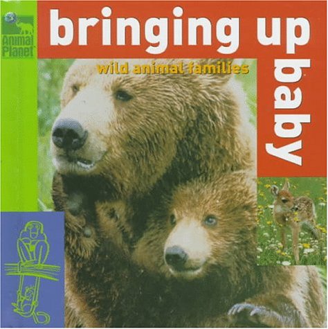 Beispielbild fr Bringing Up Baby: Wild Animal Families (Animal Planet) zum Verkauf von BookHolders